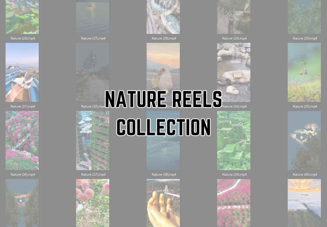 Nature Reels (1,000)